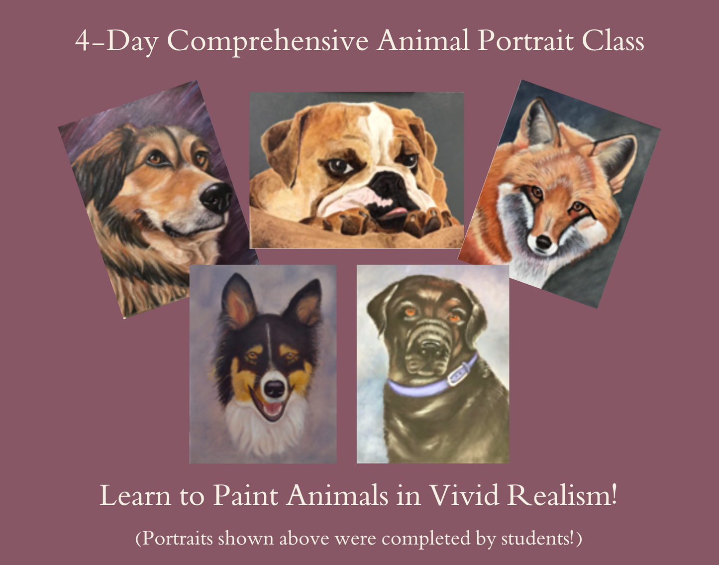 4-Day Animal/Pet Portrait Workshop - June 6-9, 2025, Maurertown, VA